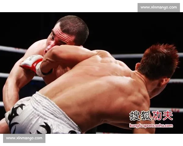 回顾杨建平巅峰对决赛场表现与中国搏击发展的启示意义与时代背景