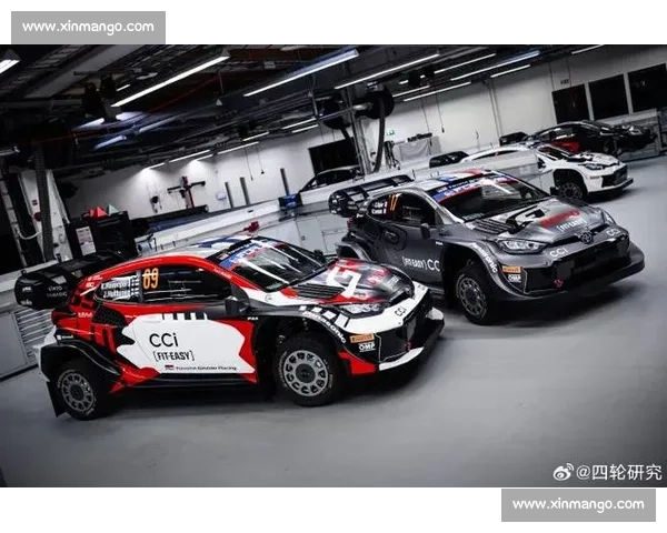 从方程式到拉力赛全面解析世界赛车比赛种类与特色发展与魅力全景